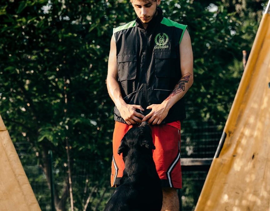 Gilet Broken Black-flugreen