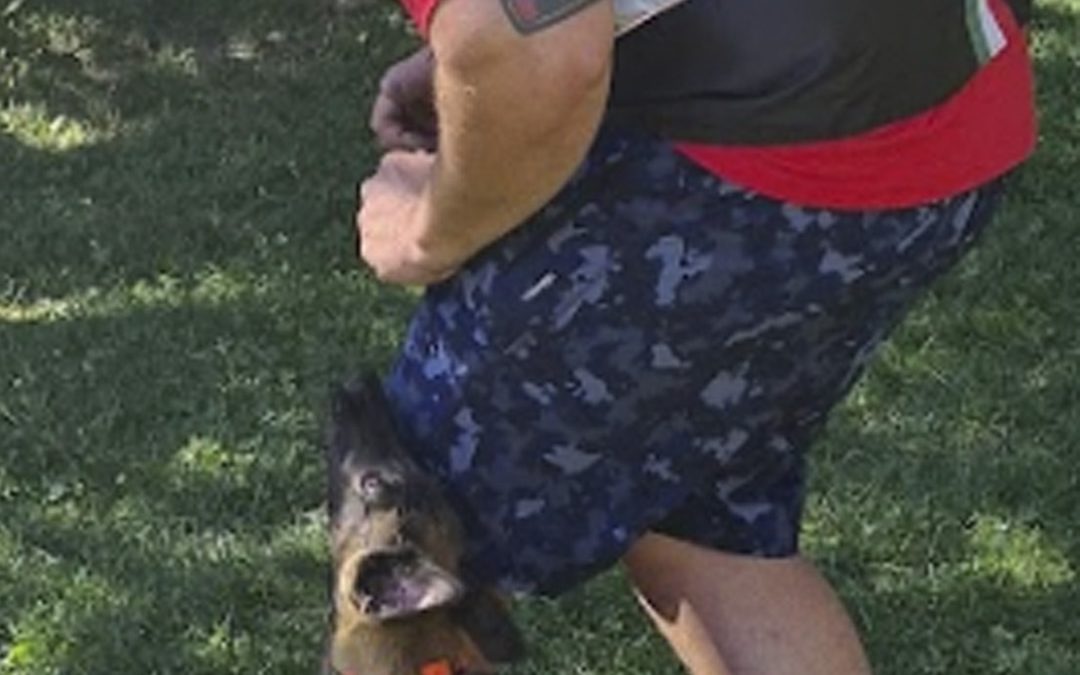 Gilet Total Black-tric